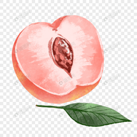 WWW,fff33·COM网站APP