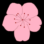 地瓜视频下载APP应用